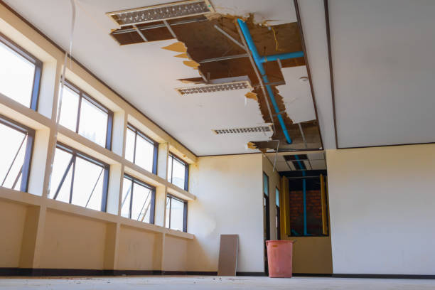  Williamsport, OH Water damage restoration Pros