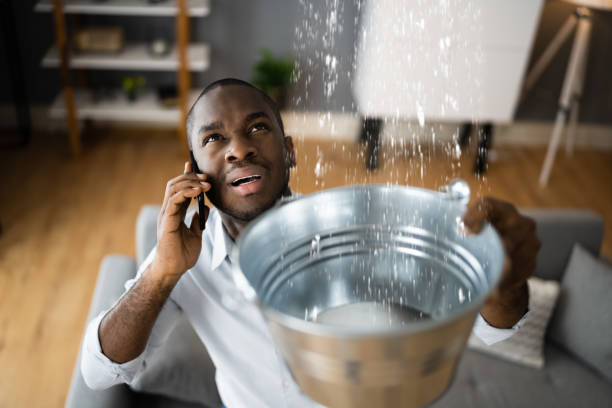 Best Basement water damage restoration  in Williamsport, OH