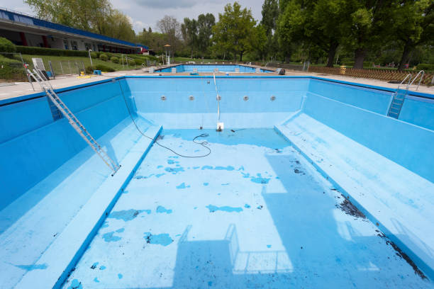 Best Water damage contractors near me  in Williamsport, OH