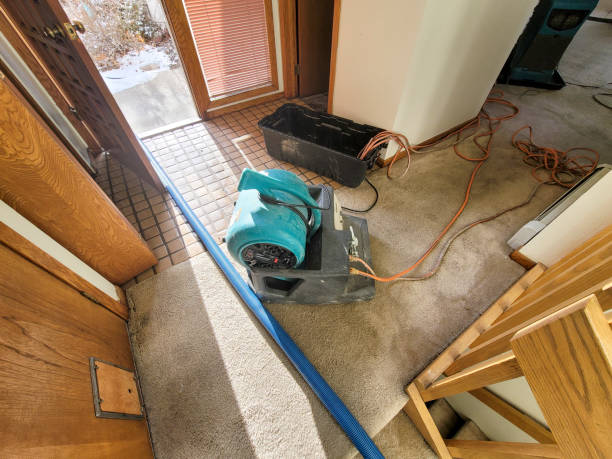 Best Fire Damage Restoration  in Williamsport, OH