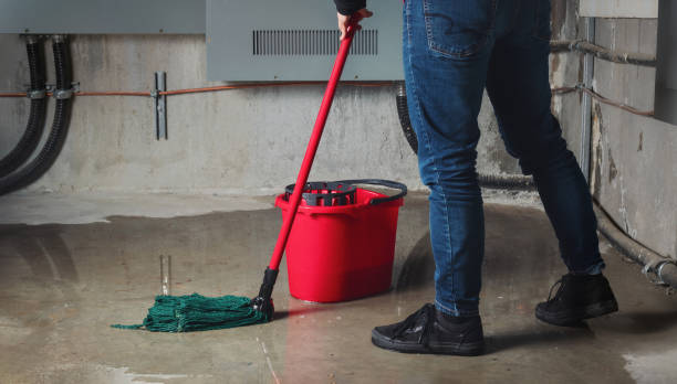 Best Water damage cleanup near me  in Williamsport, OH