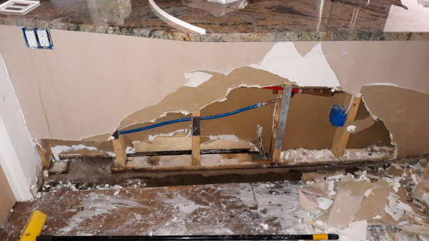 Best Carpet water damage restoration  in Williamsport, OH