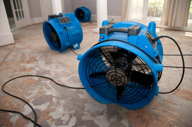 Best Water damage restoration near me  in Williamsport, OH