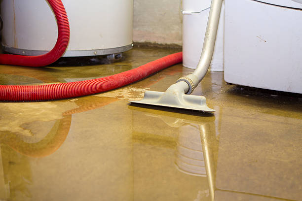 Best Flooded house restoration  in Williamsport, OH