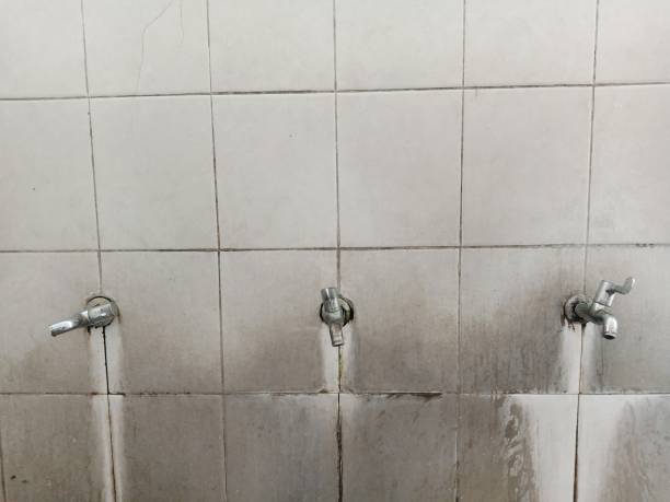 Best Basement water damage restoration  in Williamsport, OH