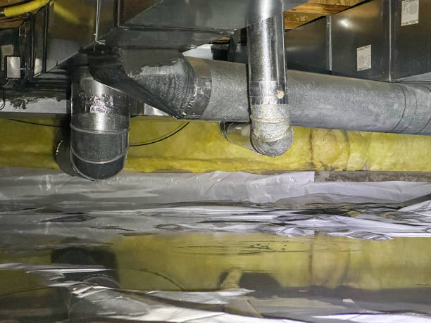 Best Water damage restoration near me  in Williamsport, OH